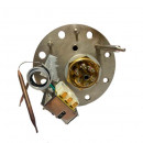 6851298 Фланец Austria Email в сборе с ТЭНом 9kW