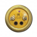 50061 ТЭН PREMIUM RF NTS 1500W/220V медный, верт.